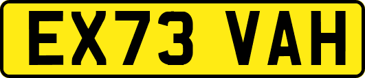 EX73VAH