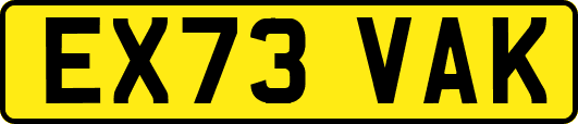 EX73VAK
