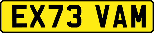 EX73VAM