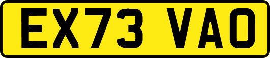 EX73VAO