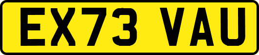 EX73VAU