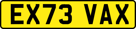 EX73VAX