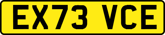 EX73VCE