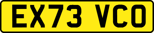 EX73VCO