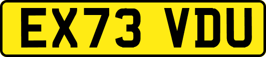 EX73VDU