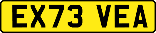 EX73VEA