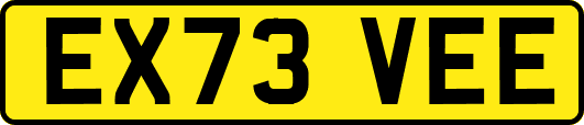 EX73VEE