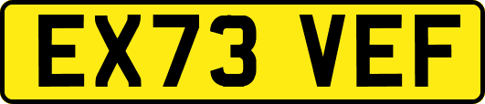 EX73VEF