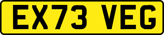 EX73VEG