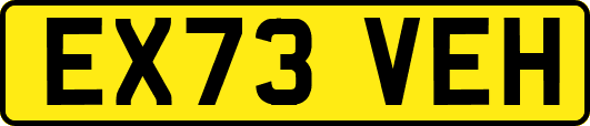 EX73VEH
