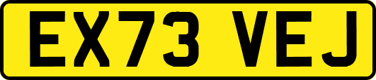 EX73VEJ