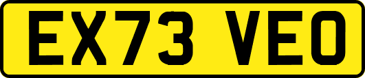 EX73VEO