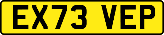 EX73VEP