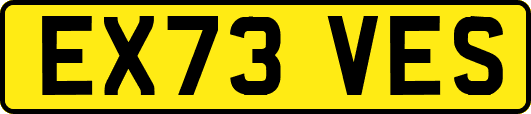 EX73VES