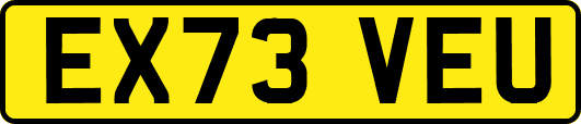 EX73VEU