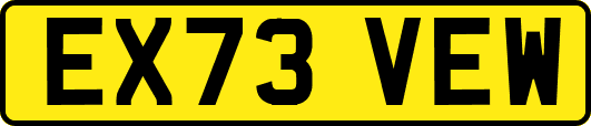 EX73VEW