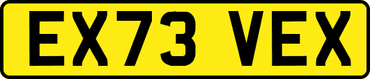 EX73VEX