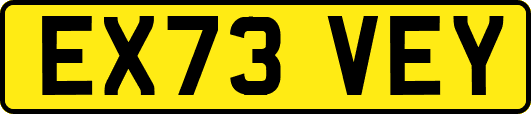 EX73VEY