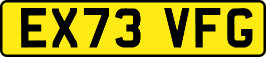 EX73VFG