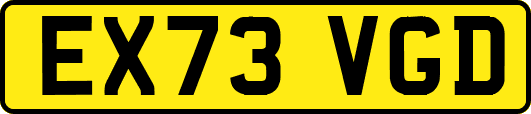 EX73VGD