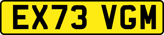 EX73VGM
