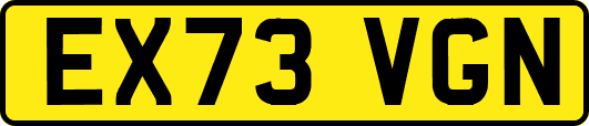 EX73VGN
