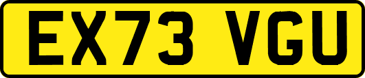 EX73VGU