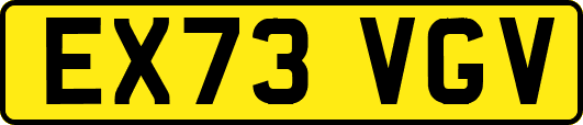 EX73VGV