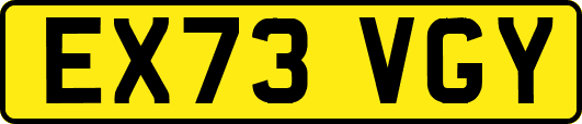 EX73VGY