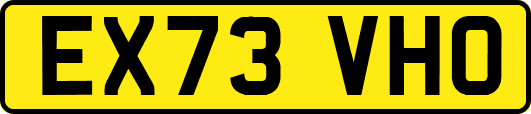 EX73VHO