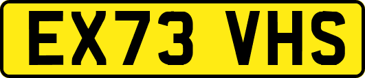 EX73VHS