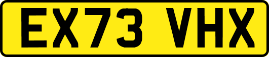 EX73VHX