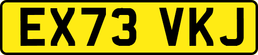 EX73VKJ