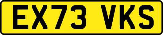 EX73VKS
