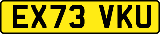 EX73VKU