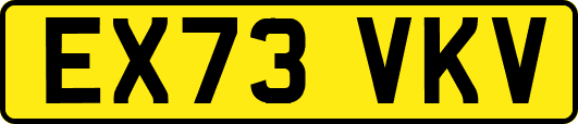 EX73VKV