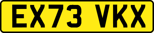 EX73VKX