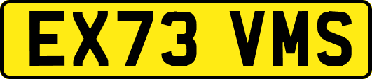 EX73VMS