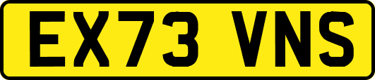 EX73VNS