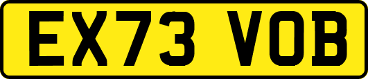 EX73VOB