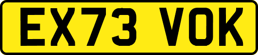 EX73VOK