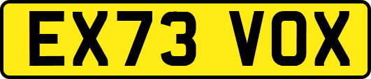 EX73VOX