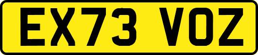 EX73VOZ