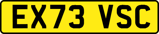 EX73VSC
