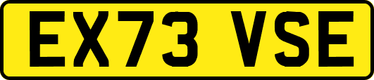EX73VSE