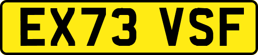 EX73VSF