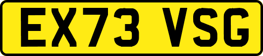 EX73VSG