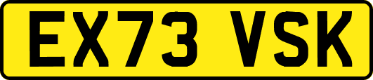 EX73VSK
