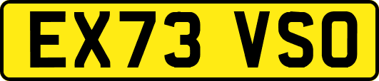 EX73VSO