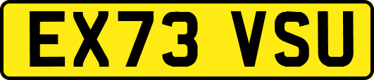 EX73VSU